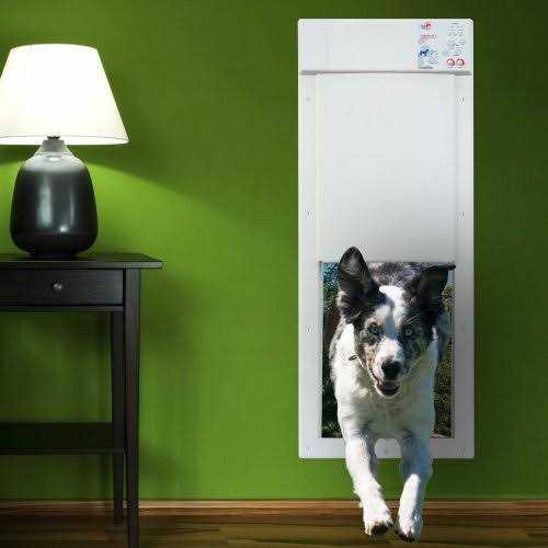 High Tech Pet Power Pet Motorized Door - Nail Gallerys