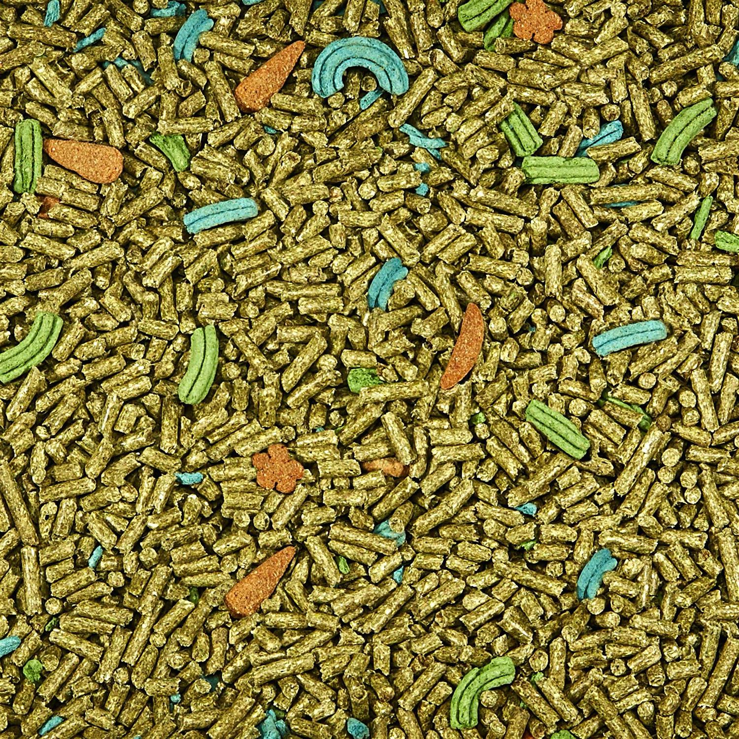 Kaytee Forti Diet Pro Health Adult Rabbit Food - Nail Gallerys