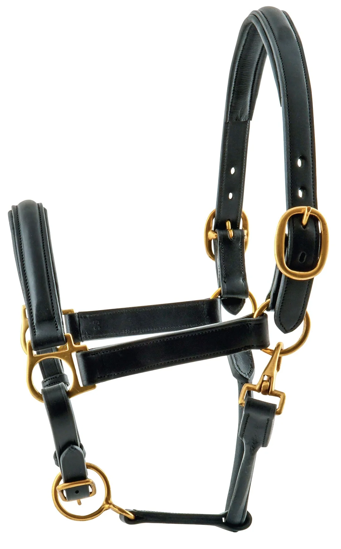 Loveson Leather Horse Halter - Nail Gallerys