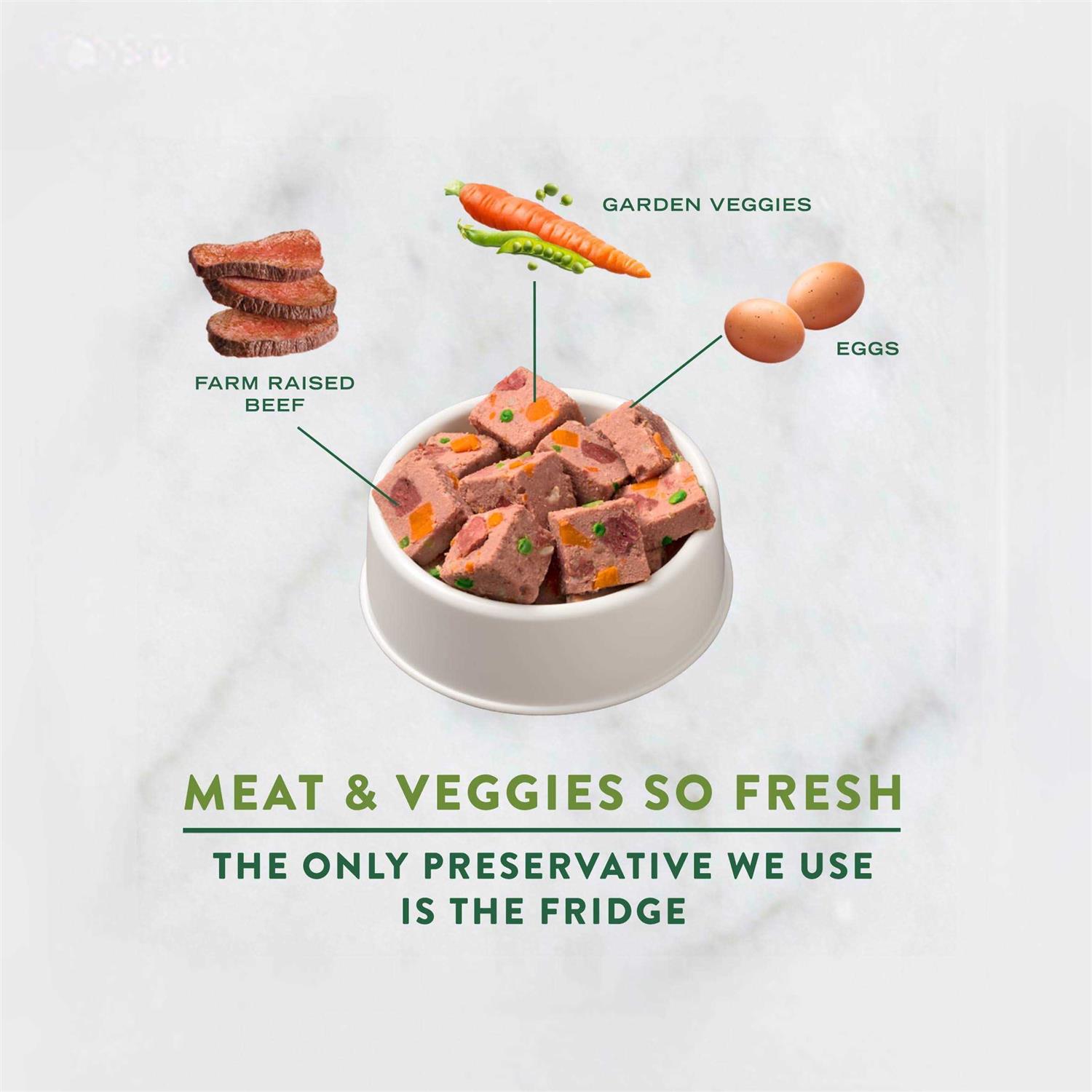 Freshpet Dog Food Chunky Beef Recipe - Nail Gallerys