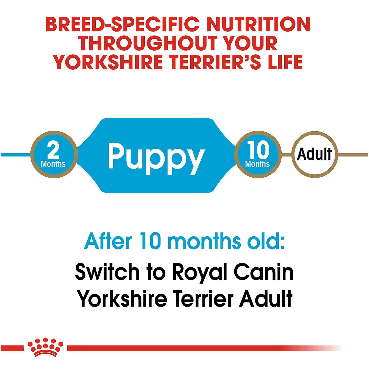 Royal Canin Breed Health Nutrition Yorkshire Terrier Puppy Dry Dog Food - Nail Gallerys