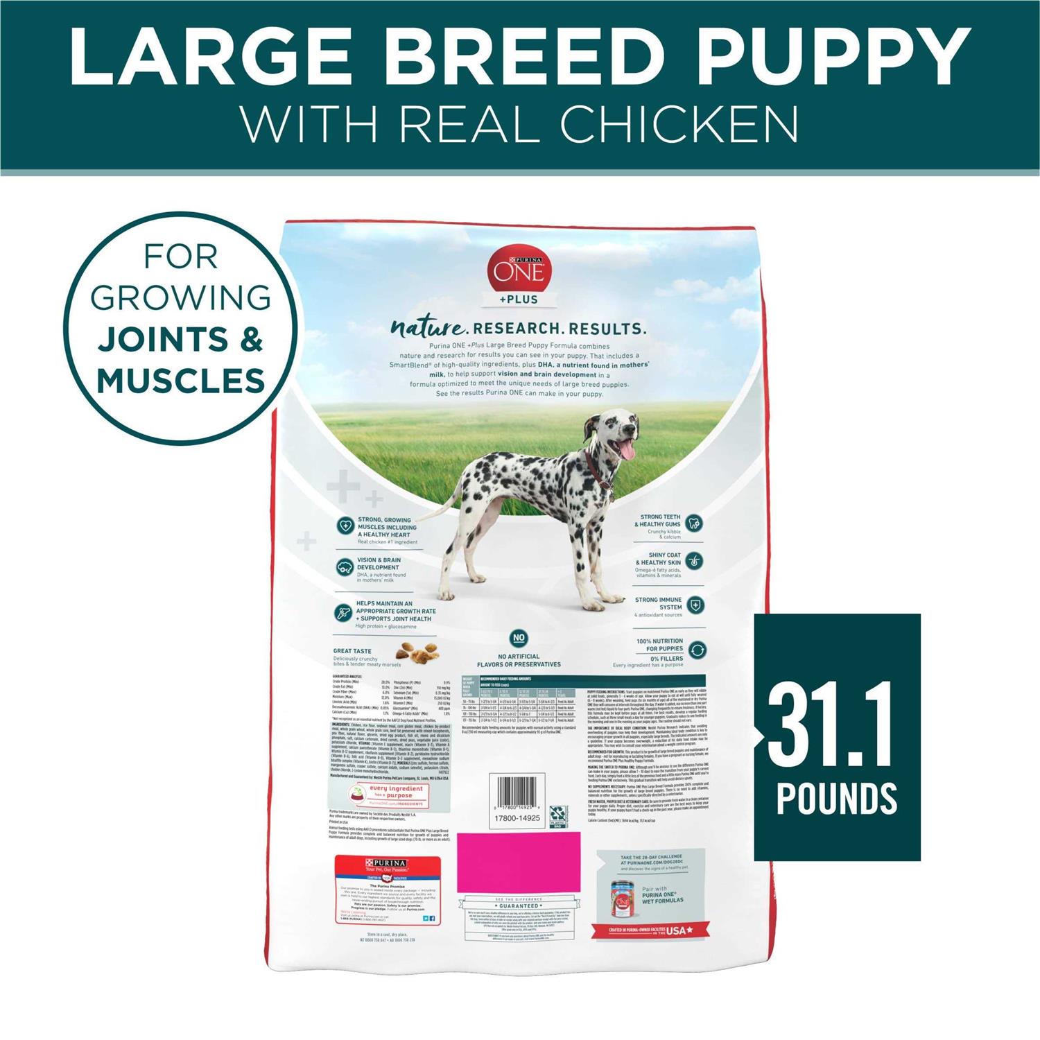 Purina ONE Large Breed Puppy Formula Dry Dog Food - Nail Gallerys