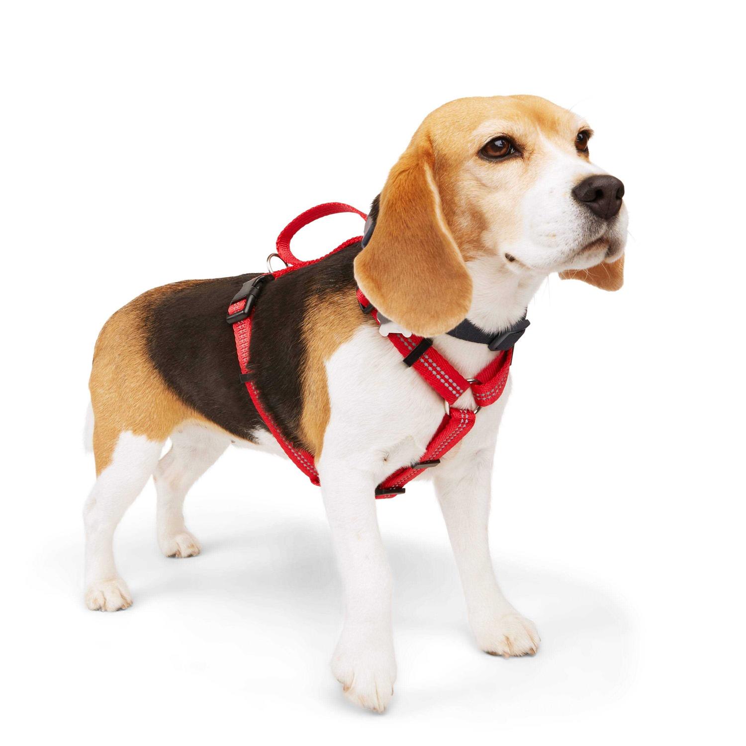 Youly Reflective Dog Harness - Nail Gallerys