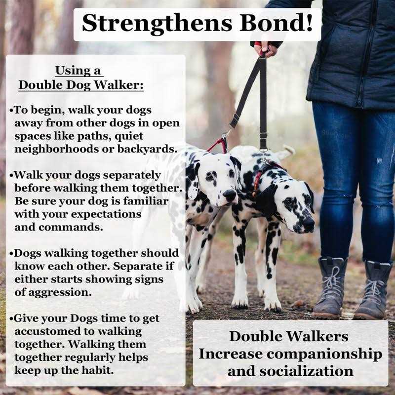 SunGrow Double Dog Walker Leash, 16-24 Inches in Length, Head Tilt Adjustable, Tin Alloy Snaps, Suitable for Dogs and Puppies - Nail Gallerys