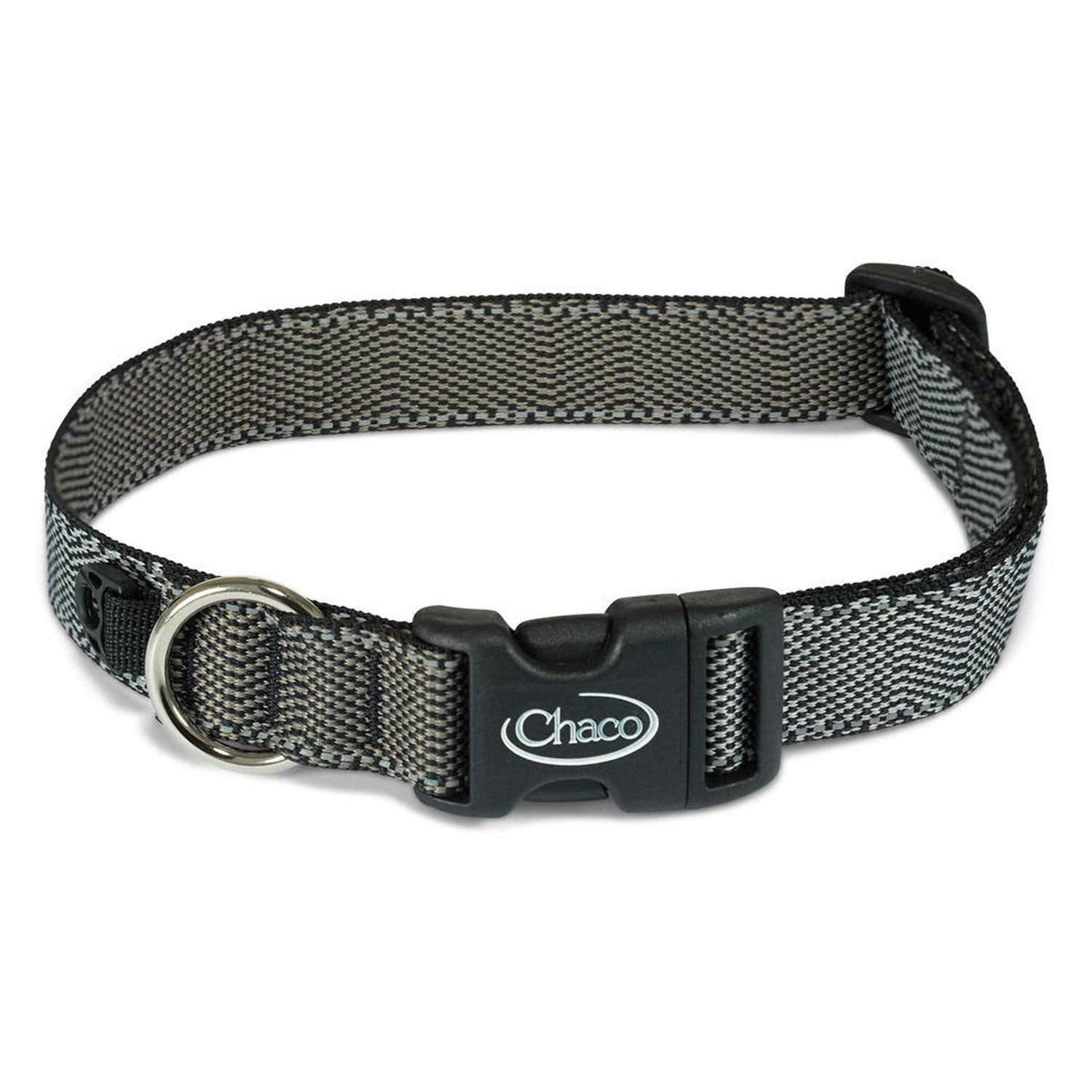 Chaco Dog Collar - Nail Gallerys
