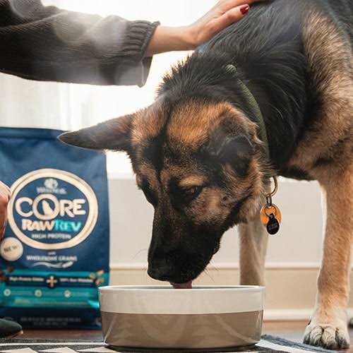 Wellness CORE RawRev Grain Free Whitefish Dog Food - Nail Gallerys