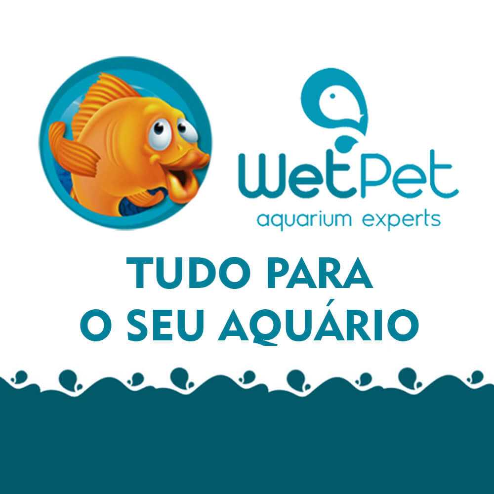 Seachem Flourite - Nail Gallerys