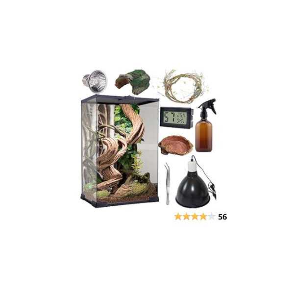 SARUFO Reptile Terrarium 8 * 8 * 12 Amphibian Vertical Habitat Tank Starter Kit - Nail Gallerys
