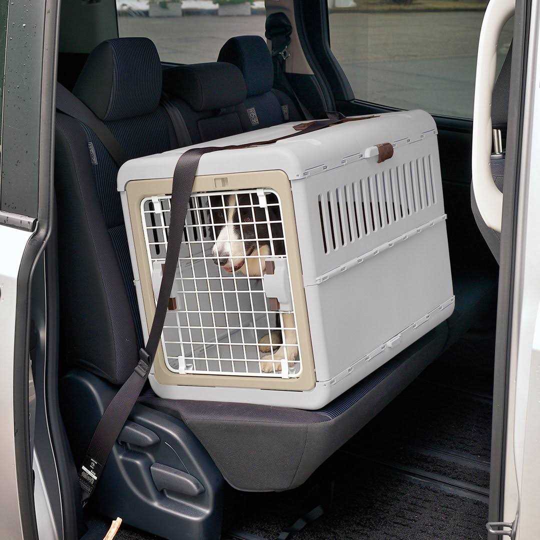 Richell Foldable Pet Carrier - Nail Gallerys