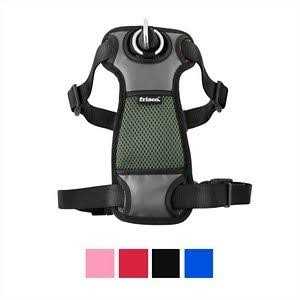 Frisco Padded Nylon No Pull Dog Harness - Nail Gallerys