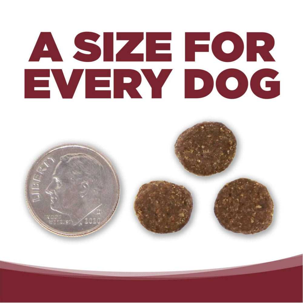 NutriSource Beef Rice Dry Dog Food - Nail Gallerys