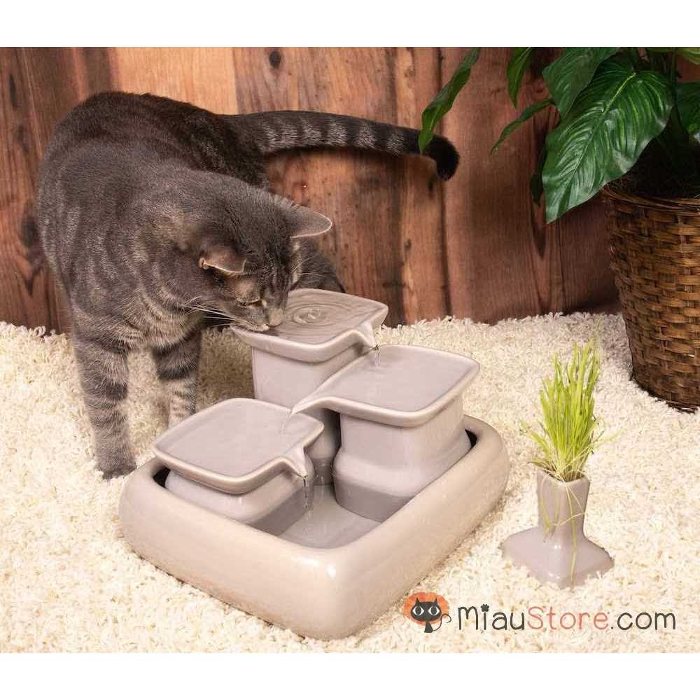 Miaustore Ceramic Cat Water Fountain - Nail Gallerys