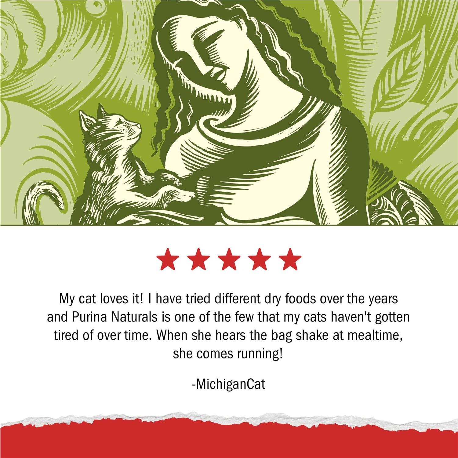 Purina Cat Chow Naturals Original Dry Cat Food - Nail Gallerys