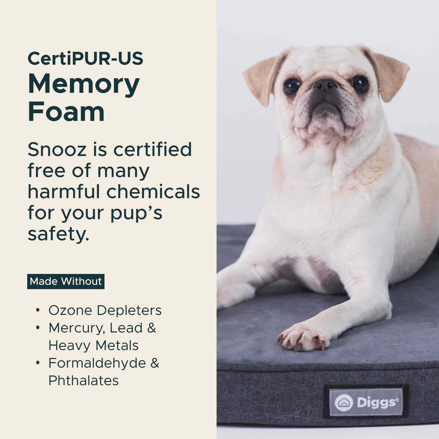 Snooz Memory Foam Crate Pad & Dog Bed Diggs - Nail Gallerys