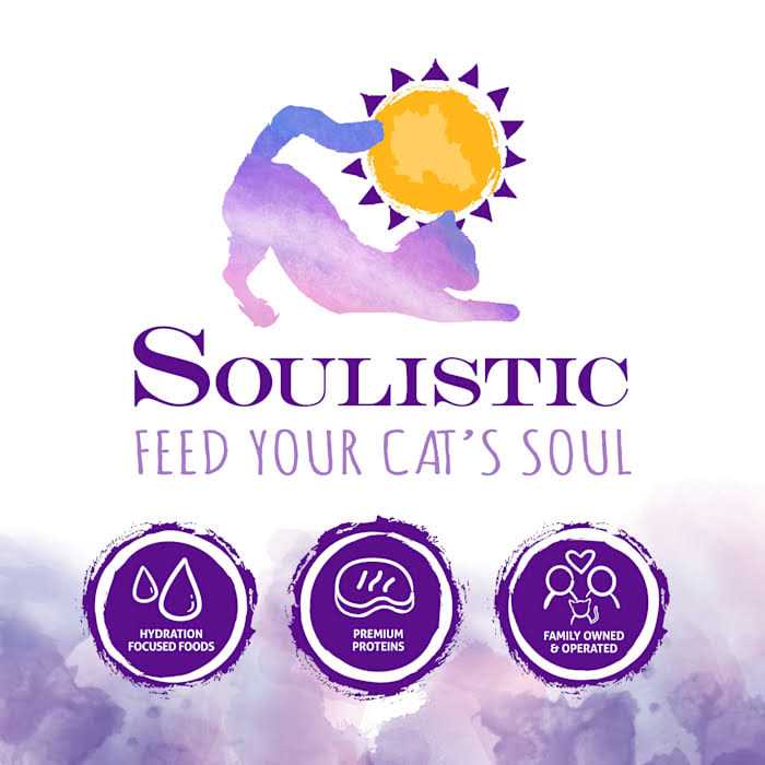 Soulistic Originals Harvest Sunrise Chicken & Pumpkin Dinner in Gravy Wet Cat Food - Nail Gallerys