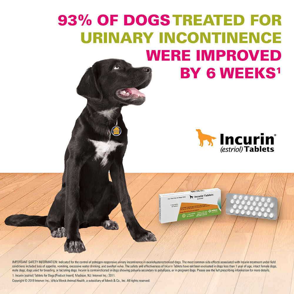Incurin Tablets for Dogs - Nail Gallerys