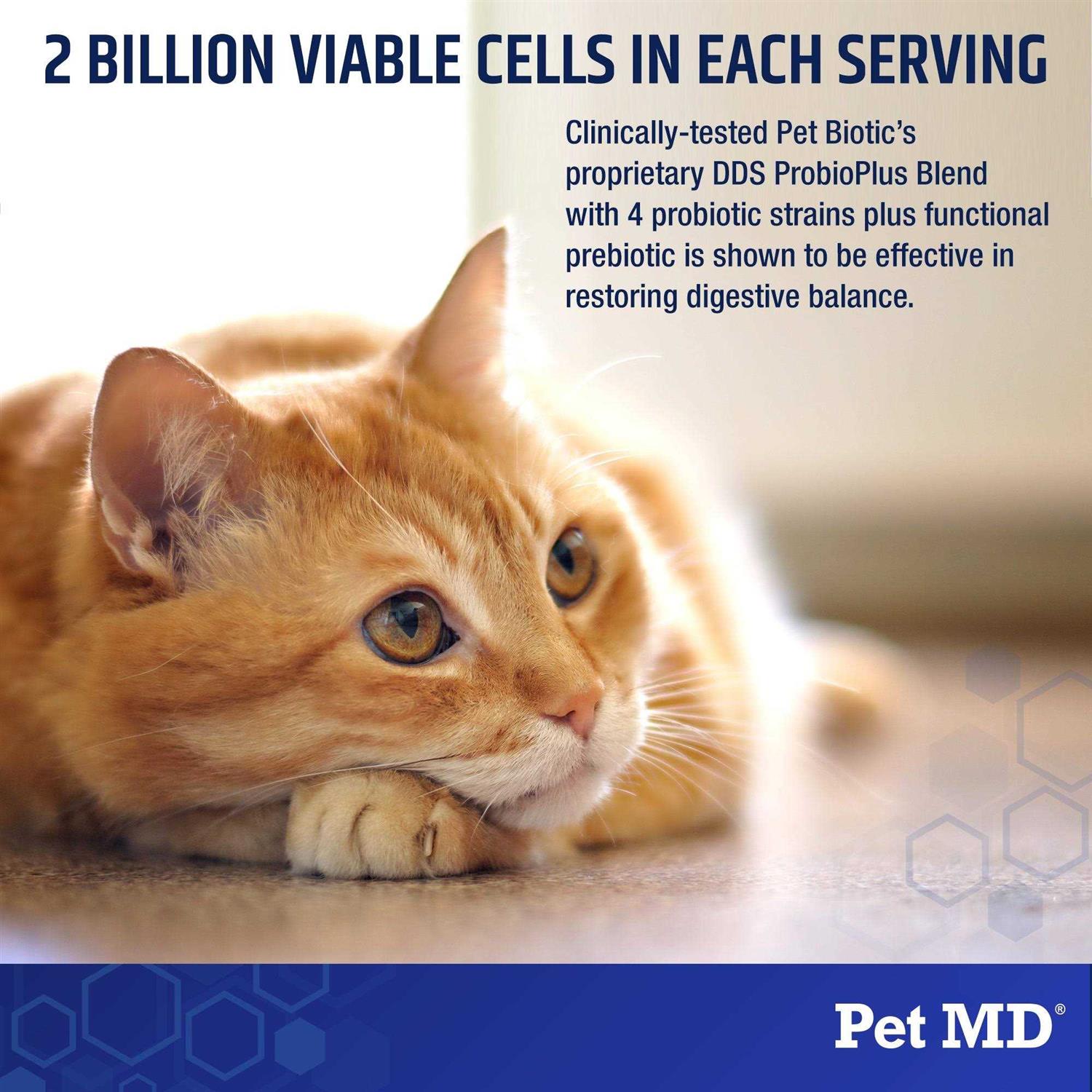 Rx Vitamins Pet Biotic Probiotics for Dogs & Cats - Nail Gallerys