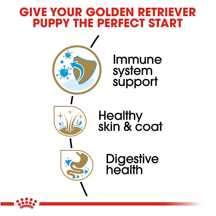 Royal Canin Golden Retriever Puppy Dry Dog Food - Nail Gallerys