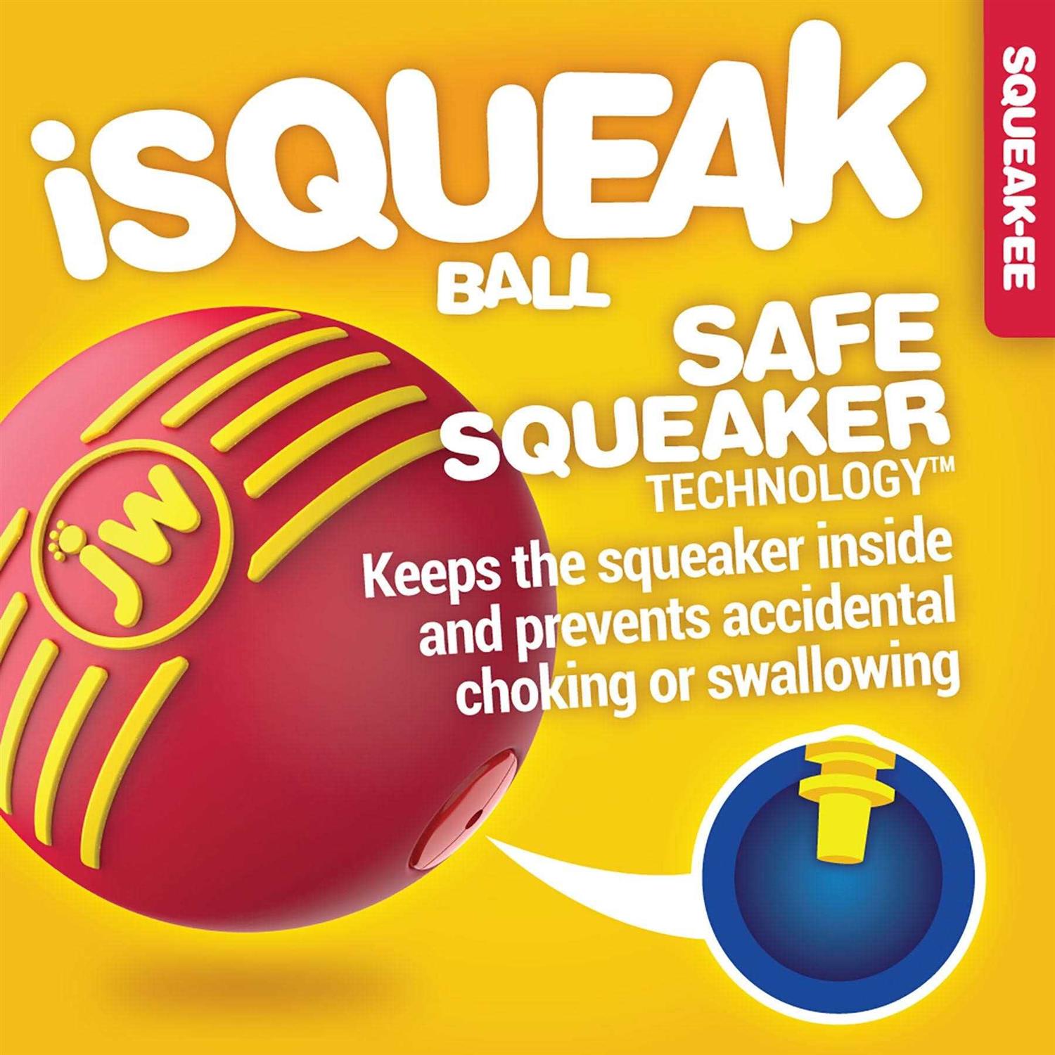JW Pet iSqueak Ball Dog Toy - Nail Gallerys