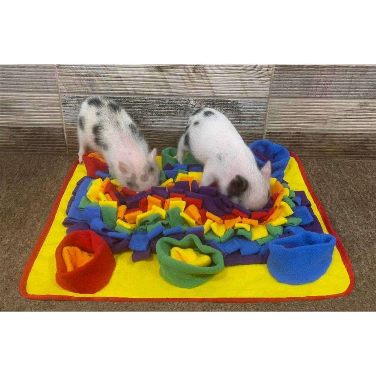 Piggy Poo and Crew Rainbow Pet Snuffle Mat - Nail Gallerys