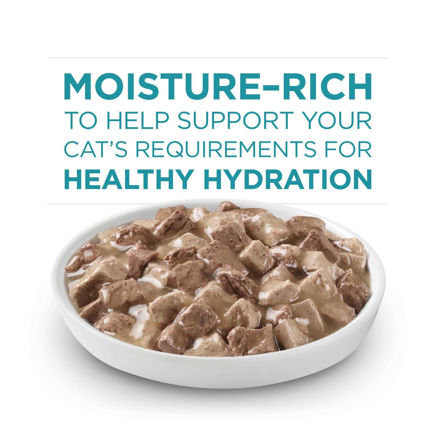 Purina ONE True Instinct Cat Food - Nail Gallerys