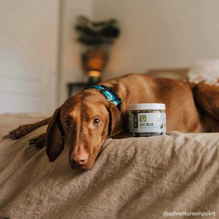 Only Natural Pet Just Relax Herbal Calming Soft Chews - Nail Gallerys