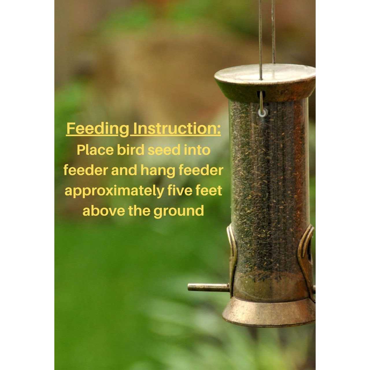 Premium Sterilized Natural Black Thistle Seed - Nail Gallerys