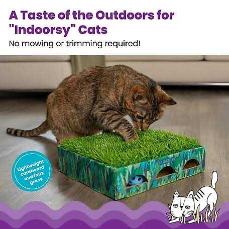 Catstages Grass Patch Hunting Box Cat Toy 71428 - Nail Gallerys