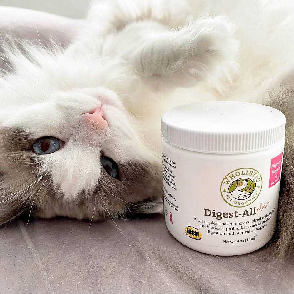 Wholistic Pet Organics Digest All Plus - Nail Gallerys