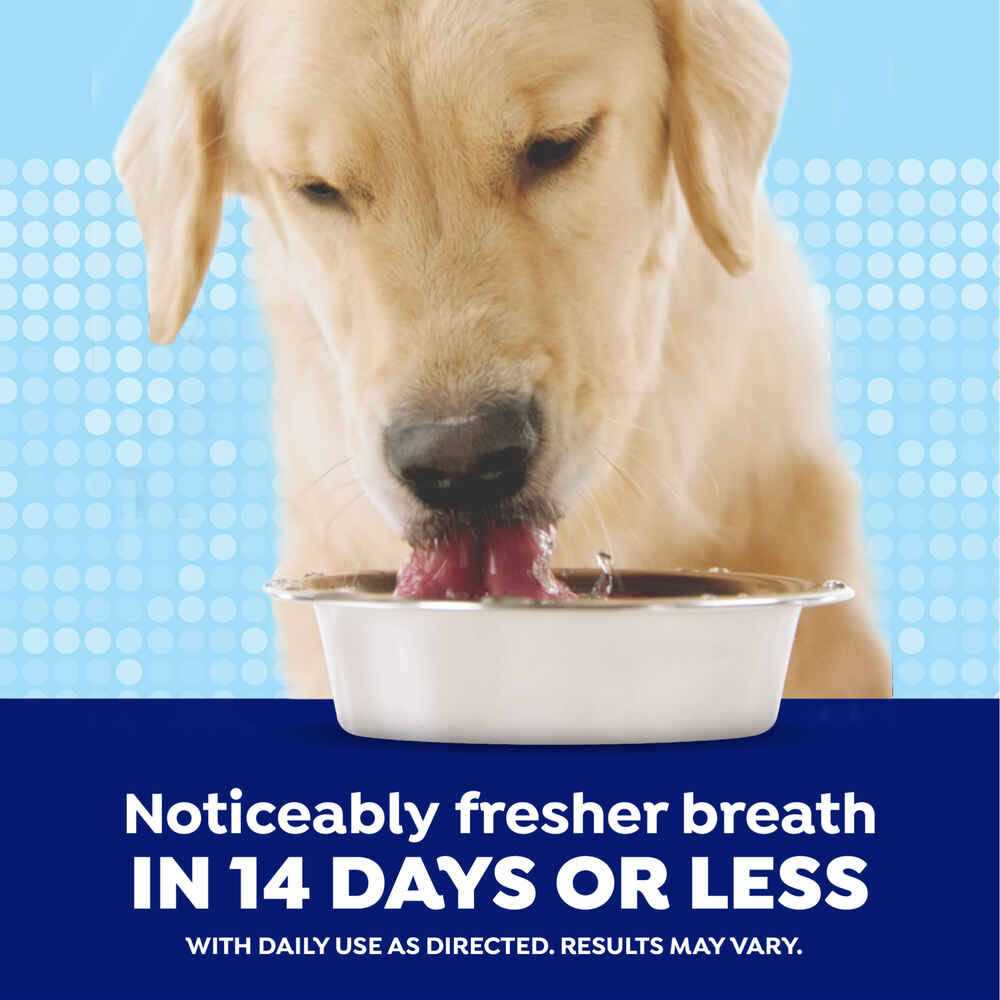 Naturel Promise Fresh Dental Water Additive - Nail Gallerys