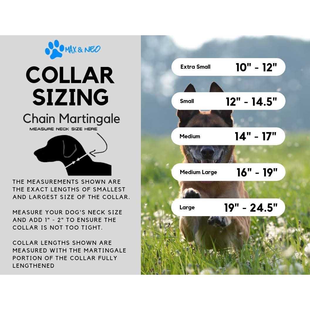 Max and Neo Stainless Steel Chain Martingale Collar We Donate a Collar to a Dog Rescue for Every Collar Sold - Nail Gallerys