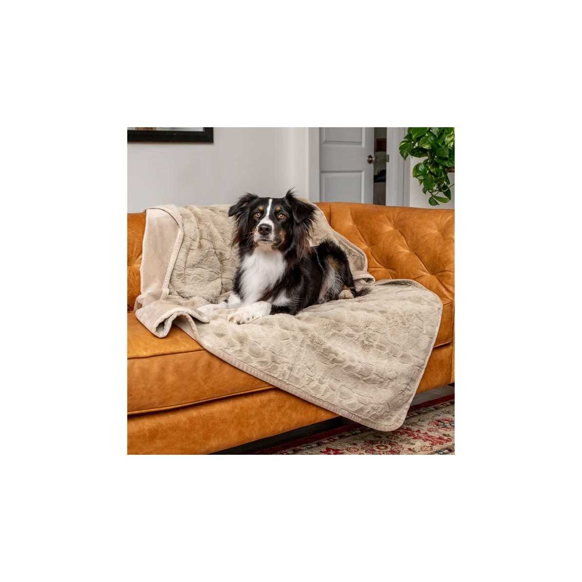 Retriever Simple Water-Resistant Pet Blanket - Nail Gallerys