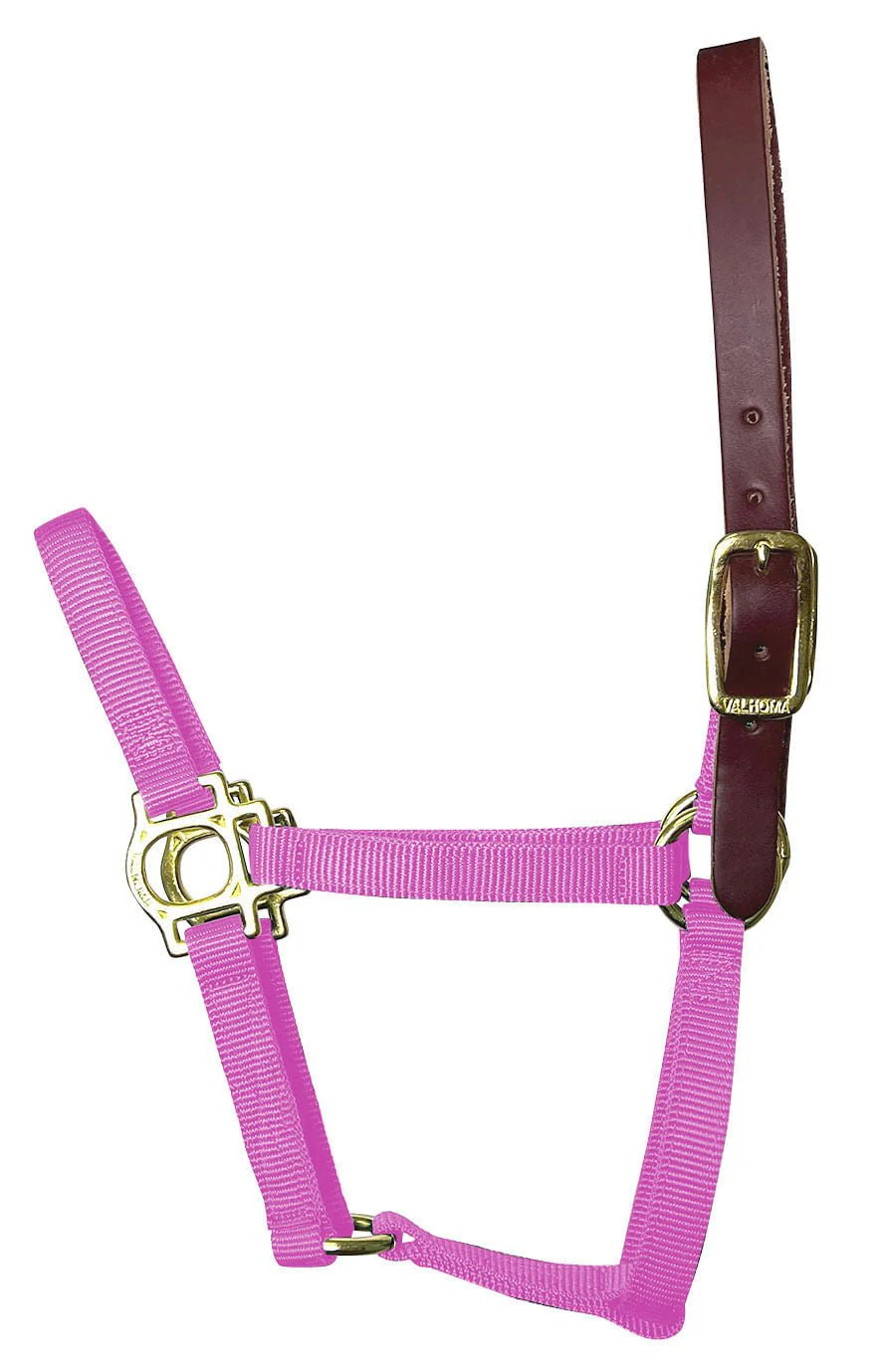 Valhoma Foal & Yearling Premium Breakaway Nylon Halter with Leather Crown - Nail Gallerys