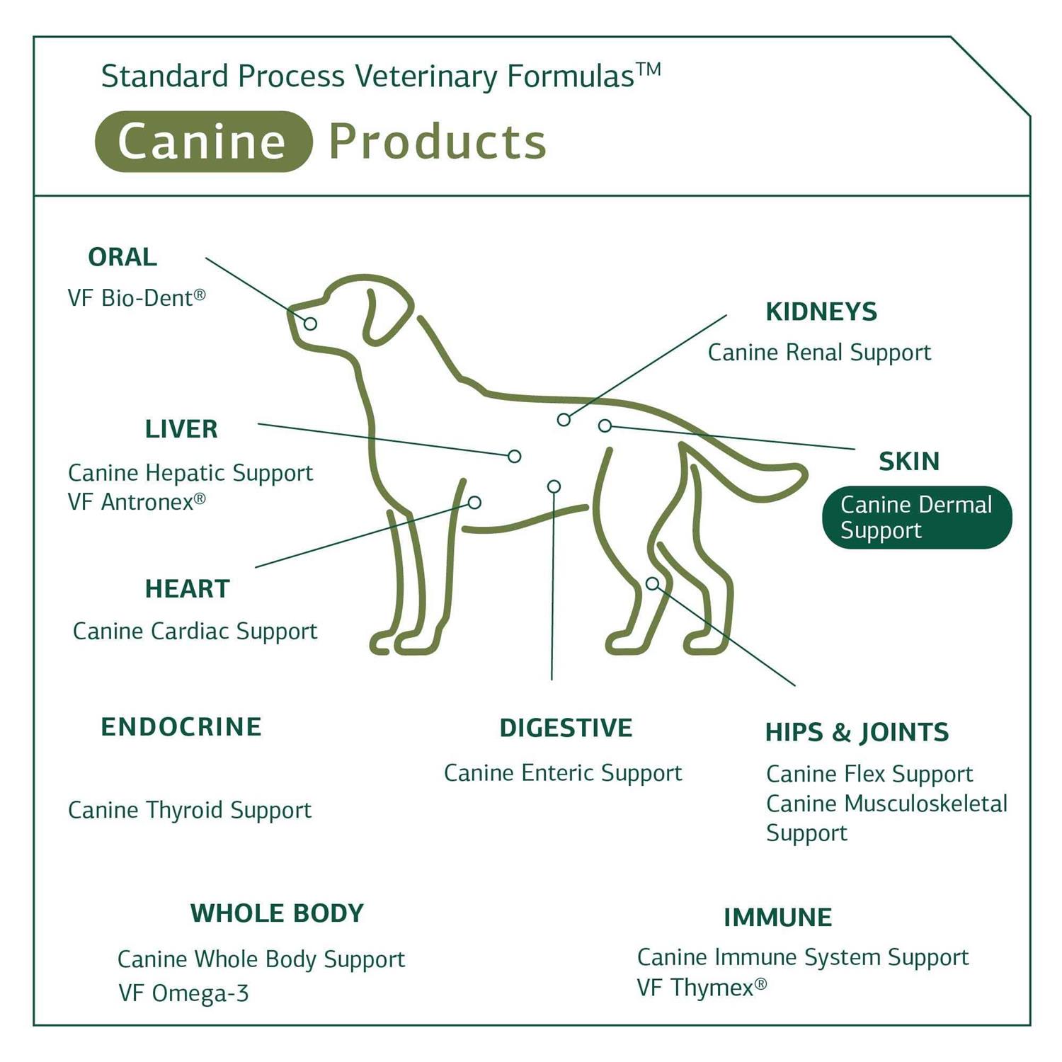 Canine Dermal Support Standard Process - Nail Gallerys