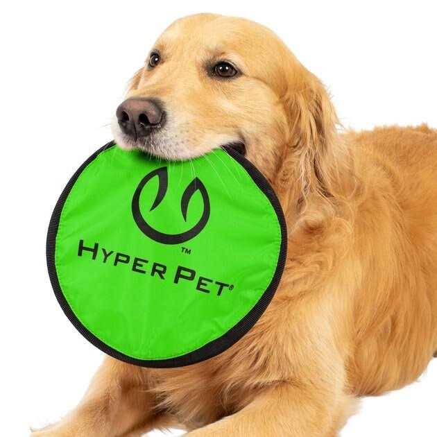 Hyper Pet Flippy Flopper - Nail Gallerys