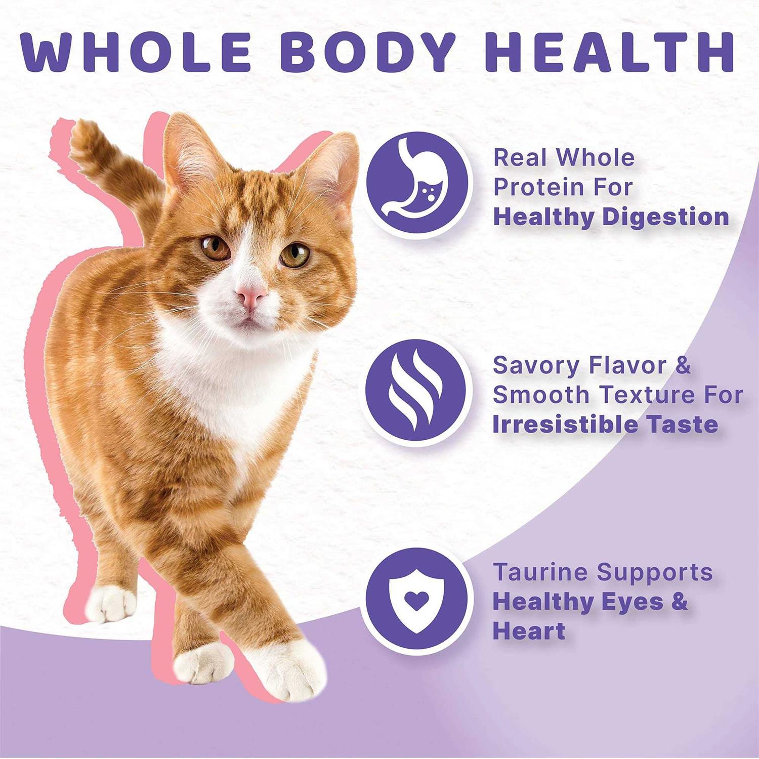 Halo Grain Free Salmon Stew Adult Cat Food - Nail Gallerys