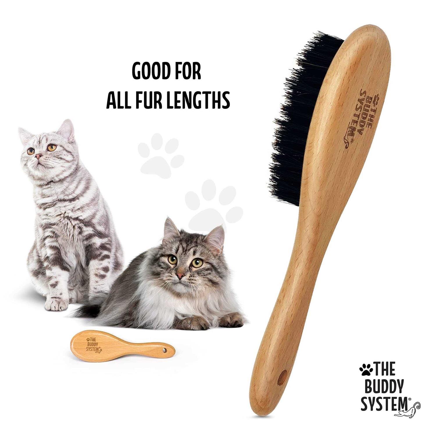 The Buddy System Cat Brush with Boar Bristle and Wooden Handle, Professional Grade Daily Grooming Hairbrush, Reduce Shedding, Soft Hair and Healthy - Nail Gallerys