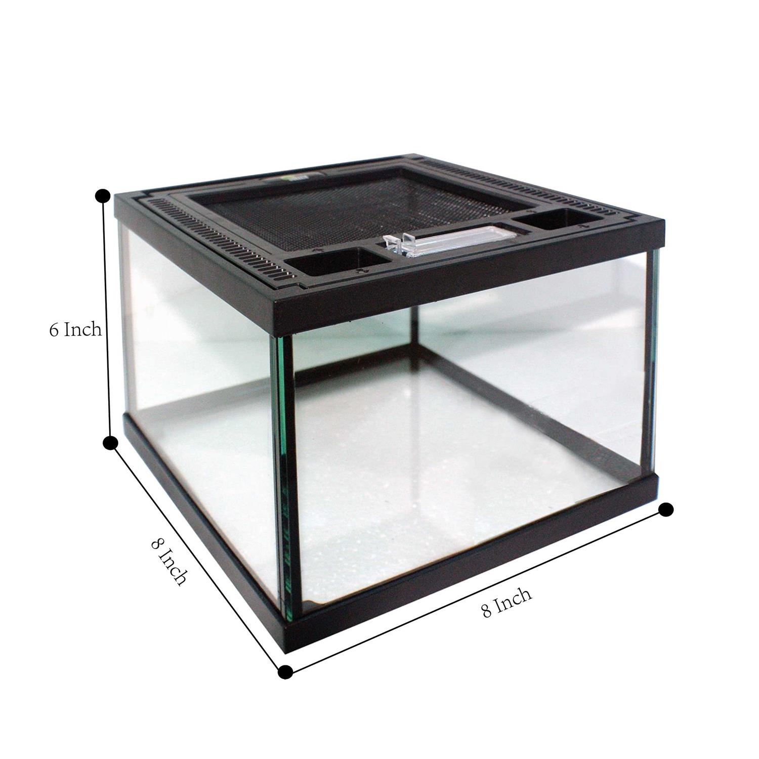 REP BUDDY Glass Terrarium with Ventilation Opening and Feeding Hole for Live Reptiles & Amphibians Bearded Dragon - Nail Gallerys