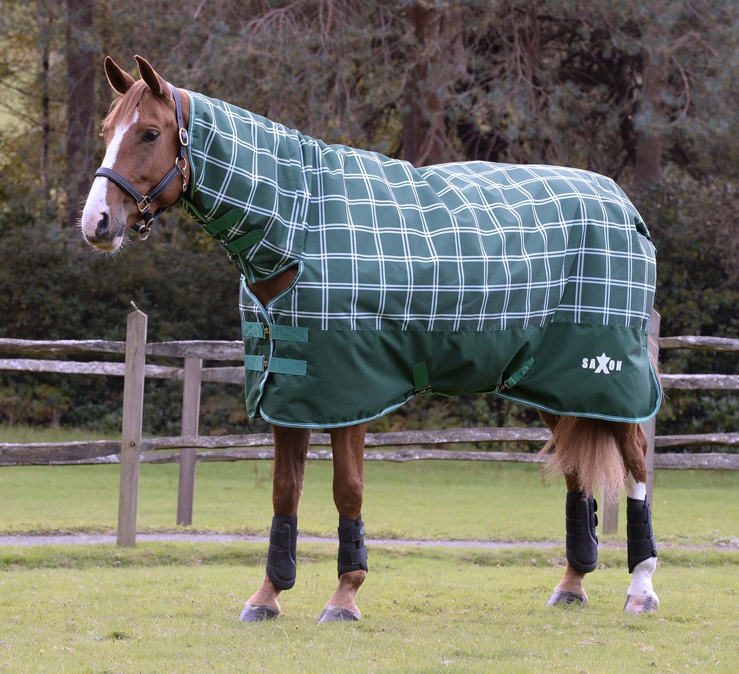 Saxon Defiant 1200D Combo Neck Medium Weight Horse Turnout, Hunter Green Plaid - Nail Gallerys