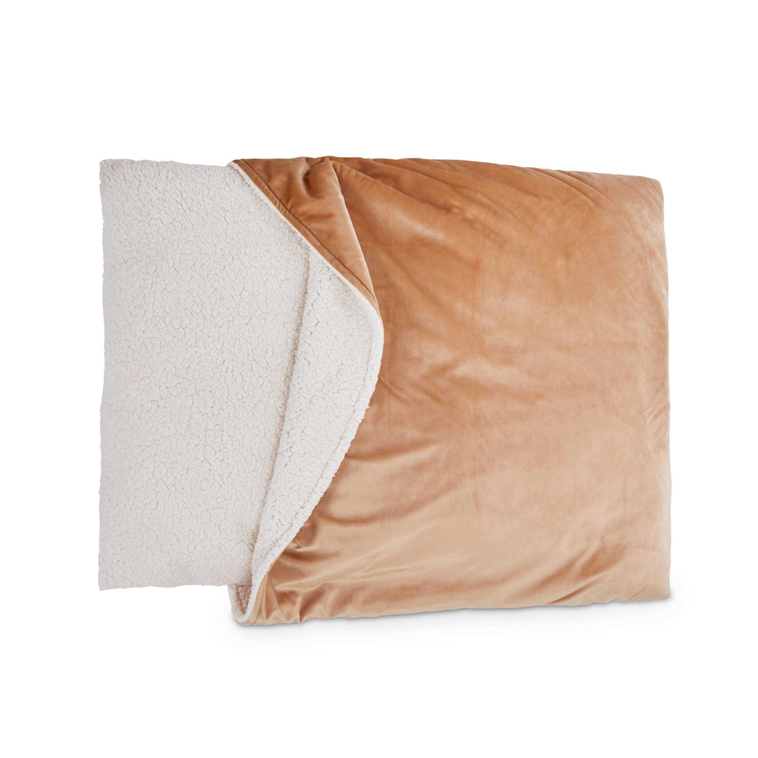EveryYay Snooze Fest Pillow Pocket Dog Bed - Nail Gallerys