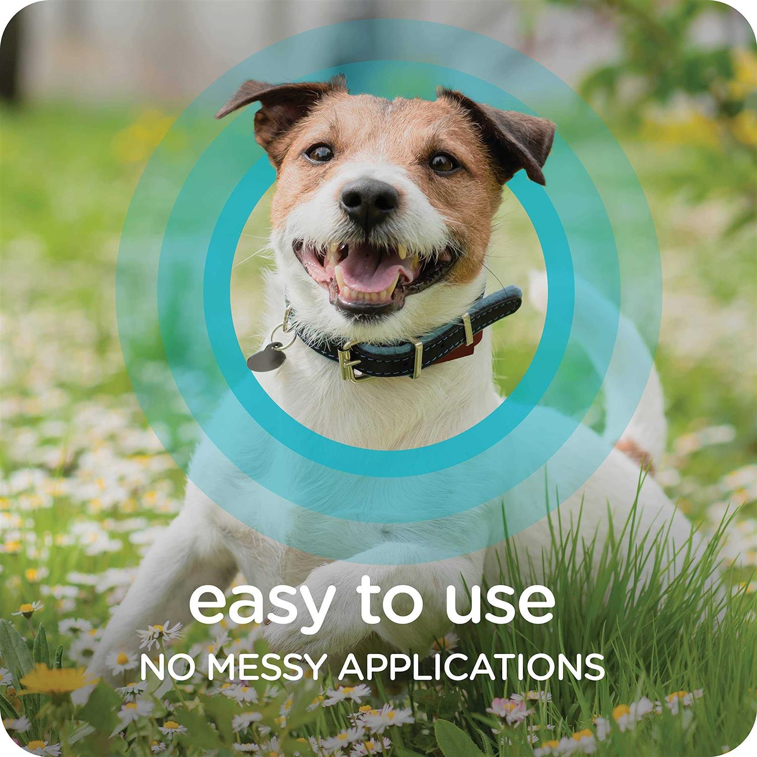 Sergeant’s Guardian Flea & Tick Collar for Dogs - Nail Gallerys