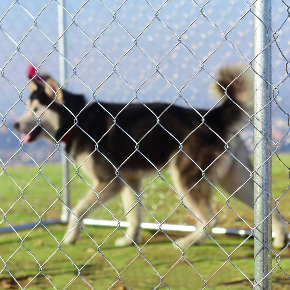 Gymax Large Pet Dog Run House Kennel Cage 7.5′ x7.5′ Backyard Playpen - Nail Gallerys