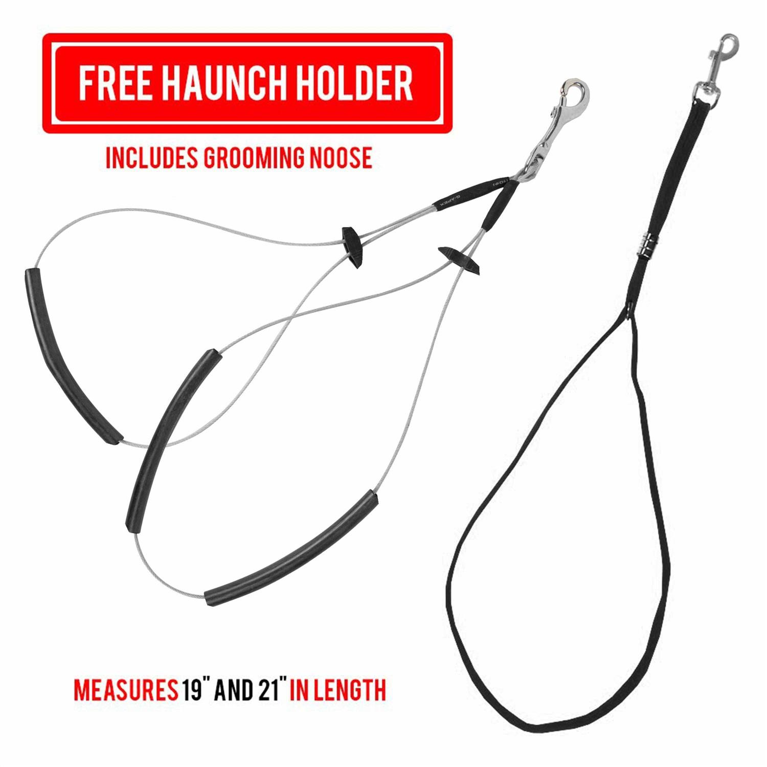 Downtown Pet Supply Dog Grooming Table Arm - Nail Gallerys