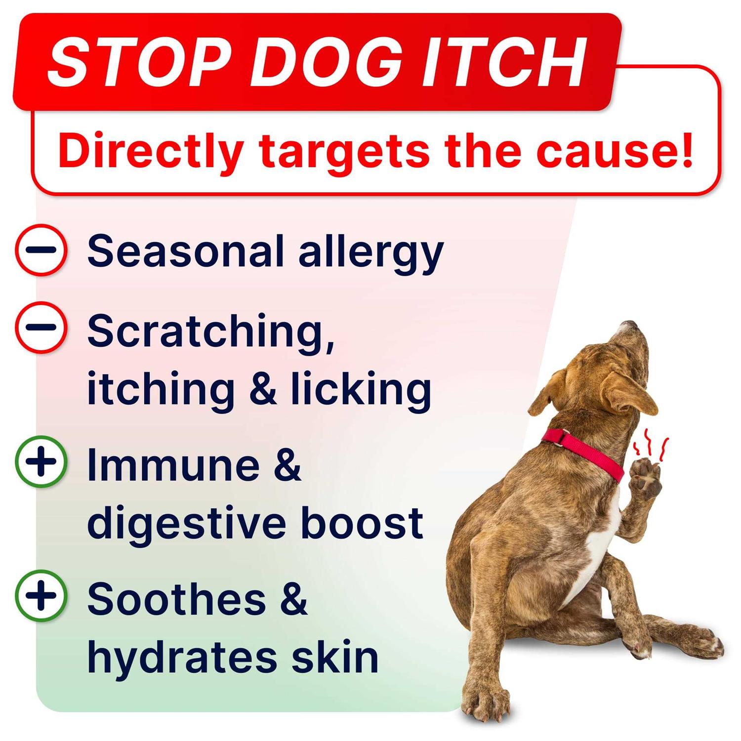 StrellaLab Allergy Relief - Nail Gallerys