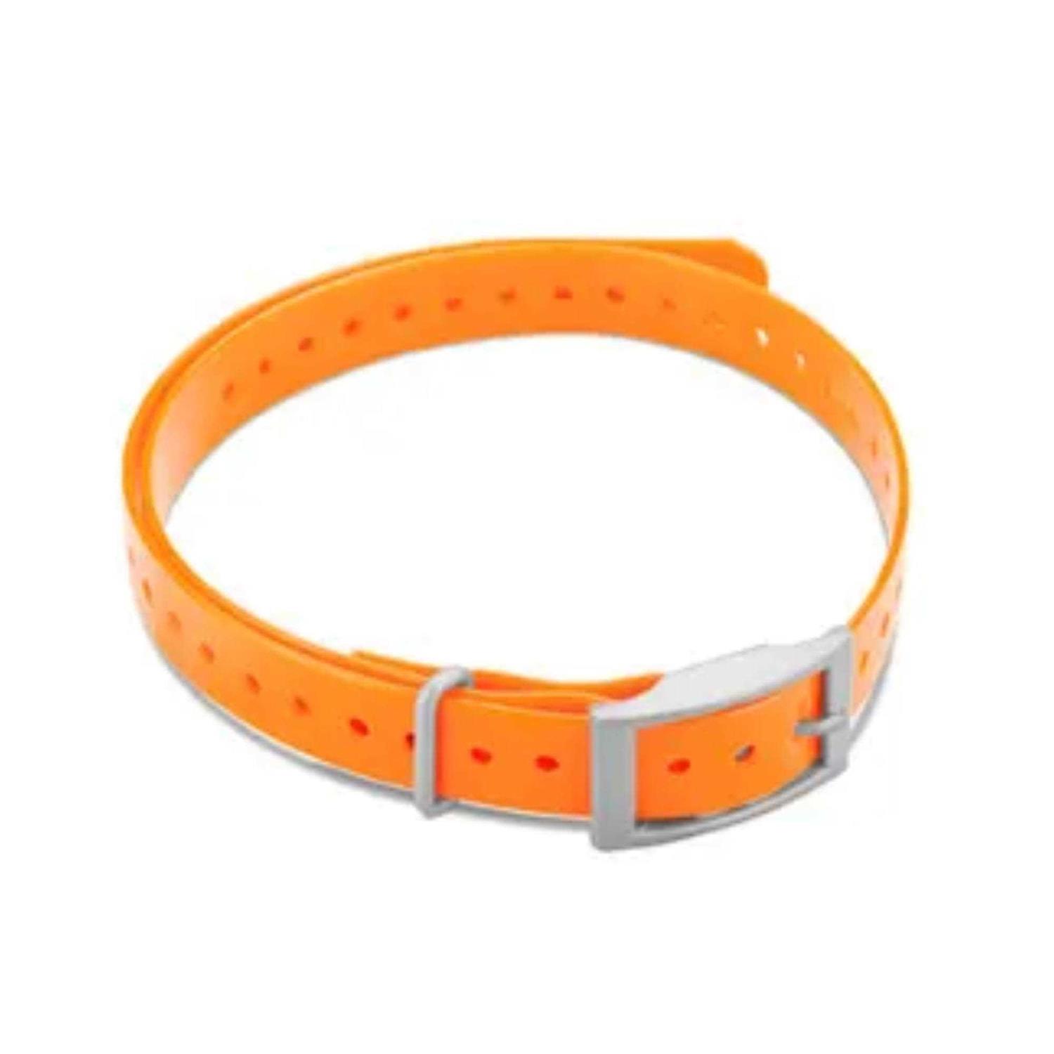 Garmin Collar Strap - Nail Gallerys