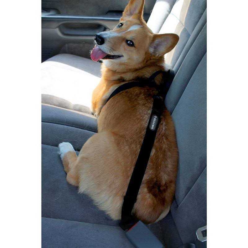 Bella & Max Pt-0114e Pet Seat Belt - Nail Gallerys