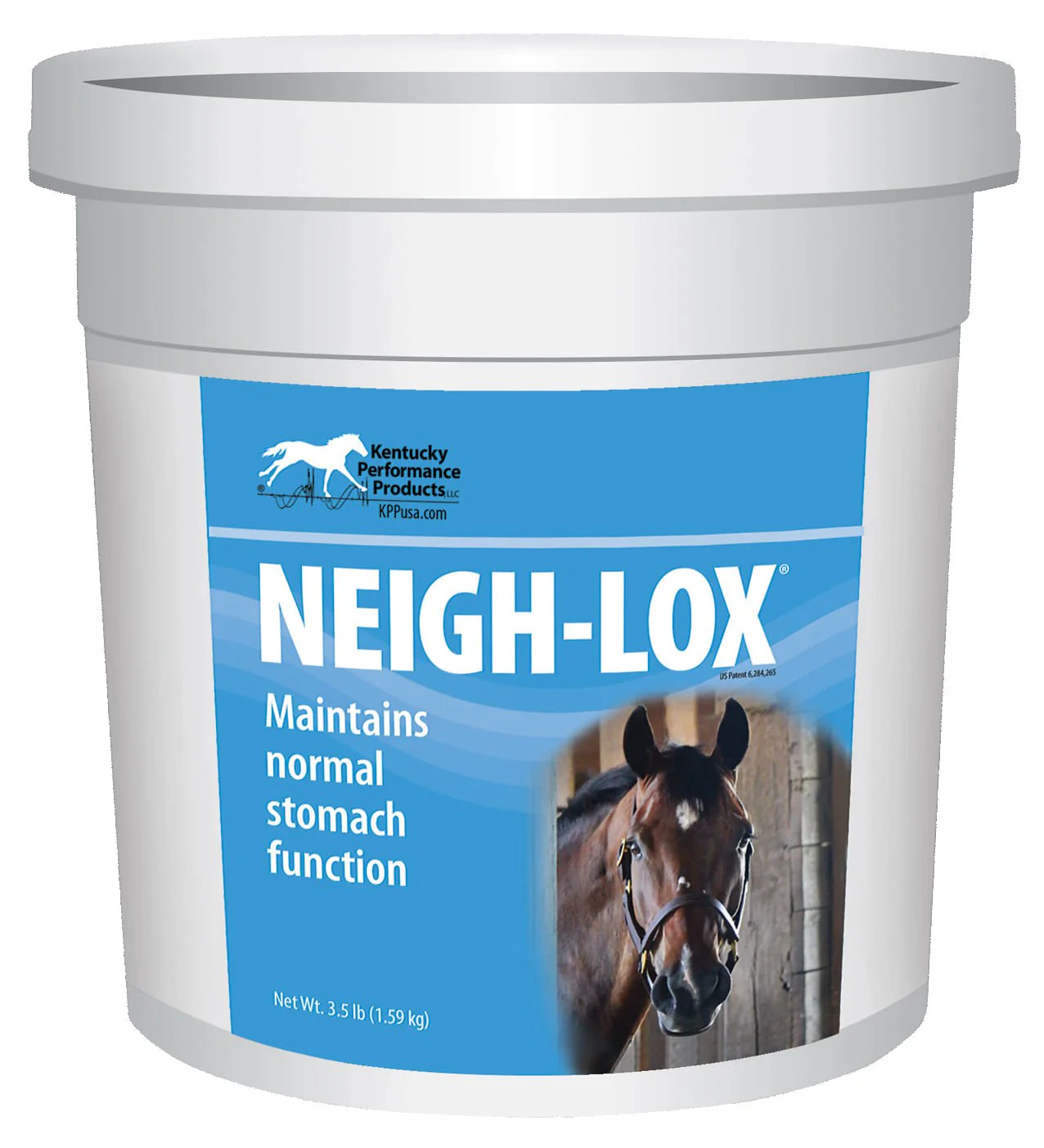 Neigh-Lox - Nail Gallerys