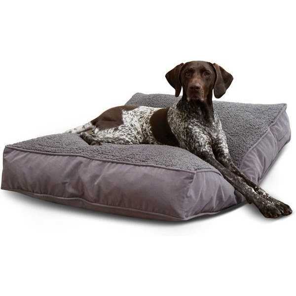Happy Hounds Bailey Rectangle Pillow Dog Bed w/ Removable COVER - Nail Gallerys