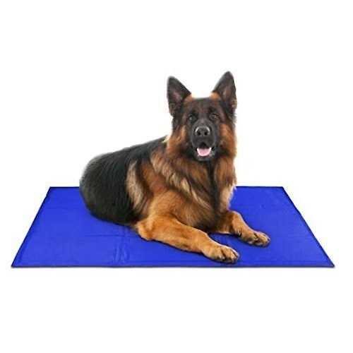 Arf Pets Pet Dog Self Cooling Mat Pad for Kennels Crates and Beds - Nail Gallerys