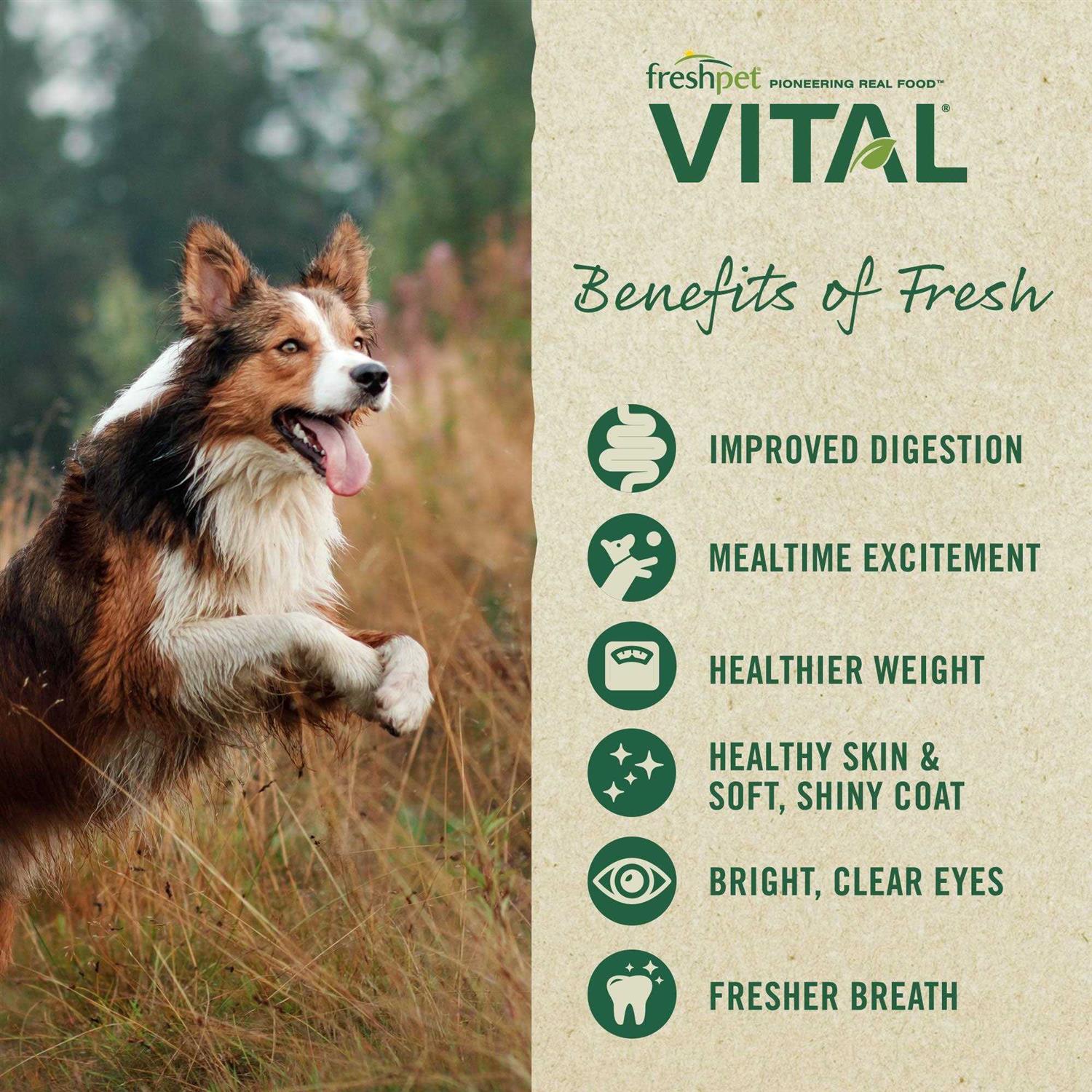Freshpet Vital Grain Free Puppy Food - Nail Gallerys